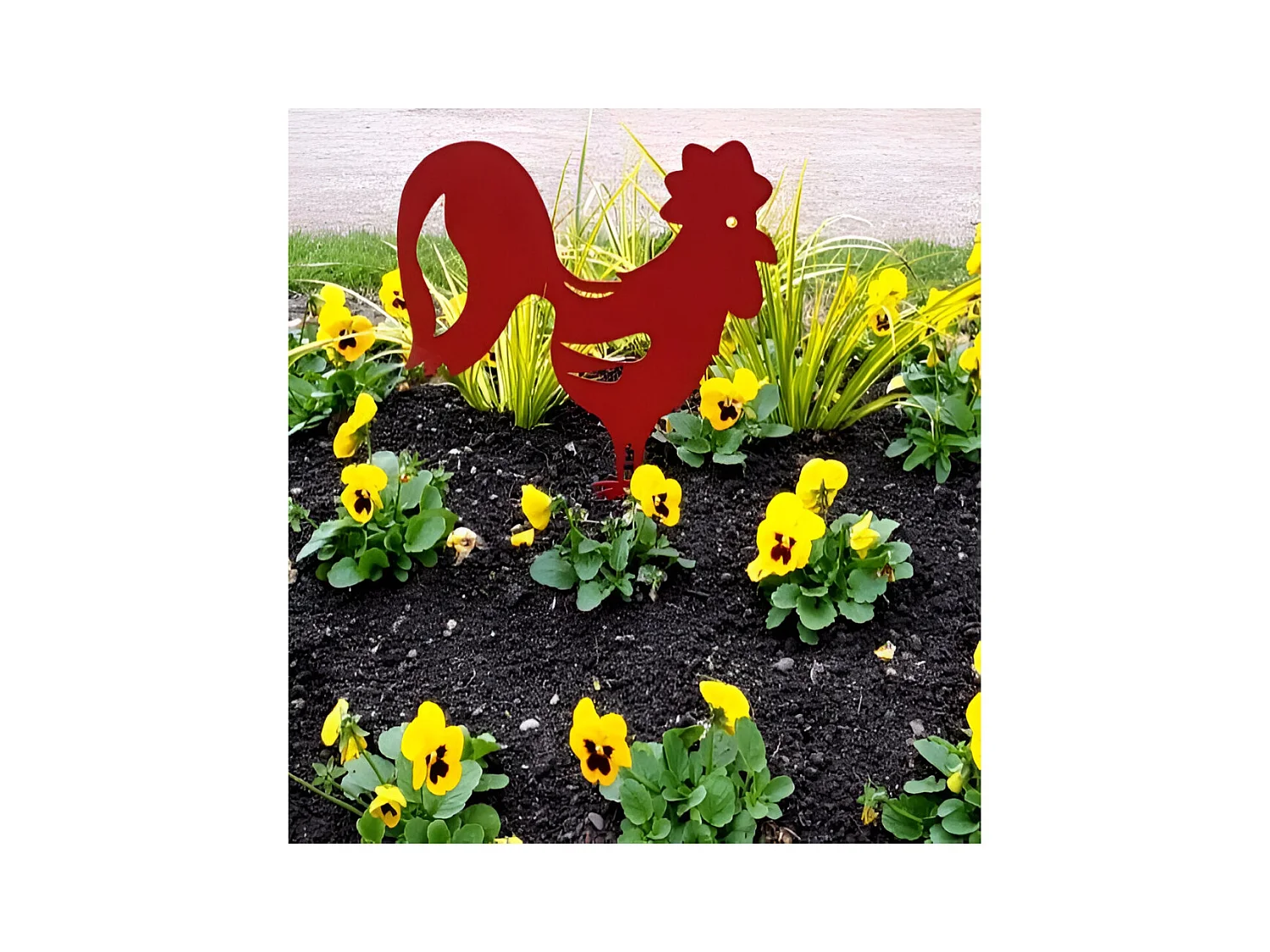 Coq décoratif en acier coloré sur pic