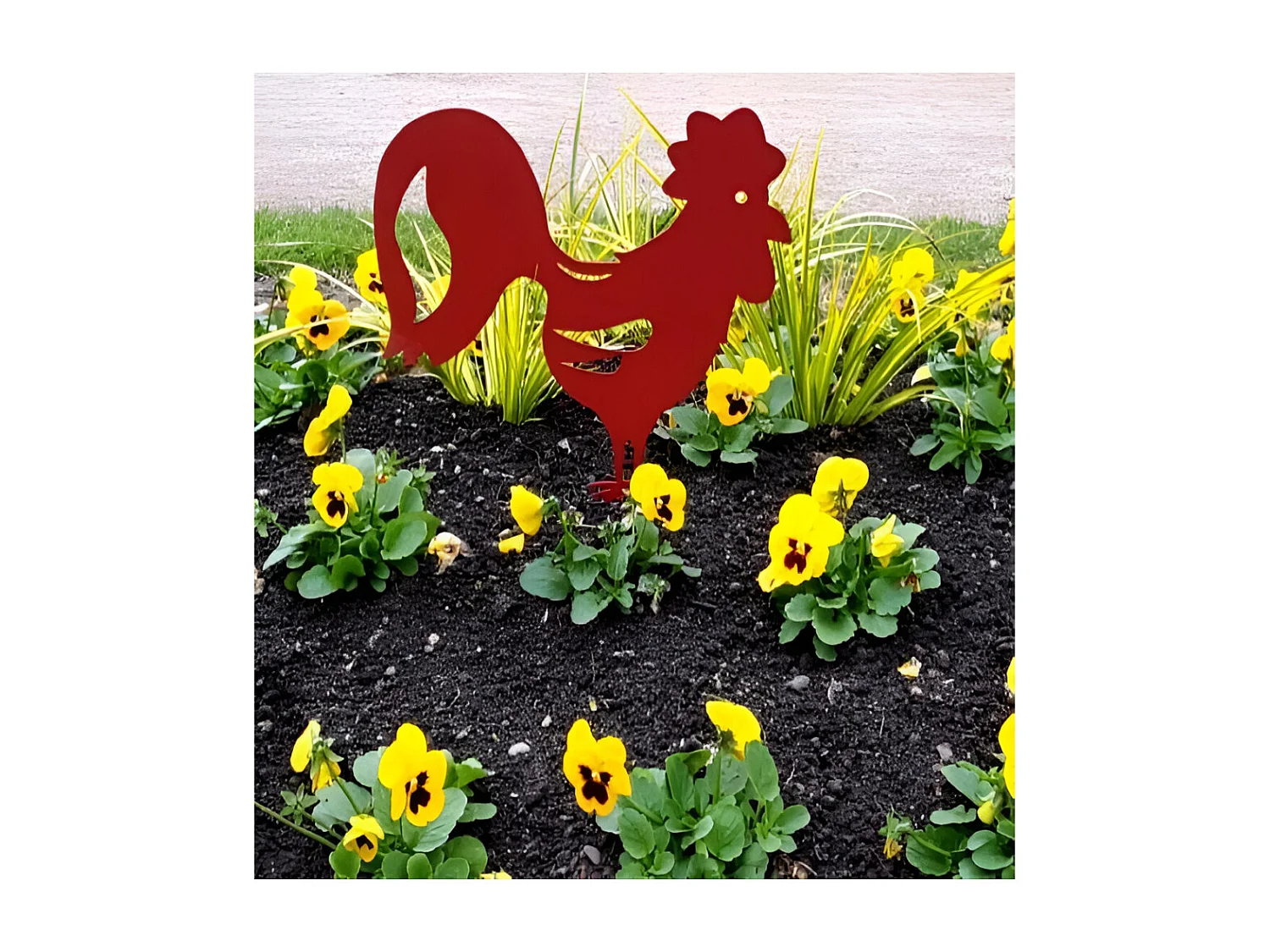 Coq décoratif en acier coloré sur pic