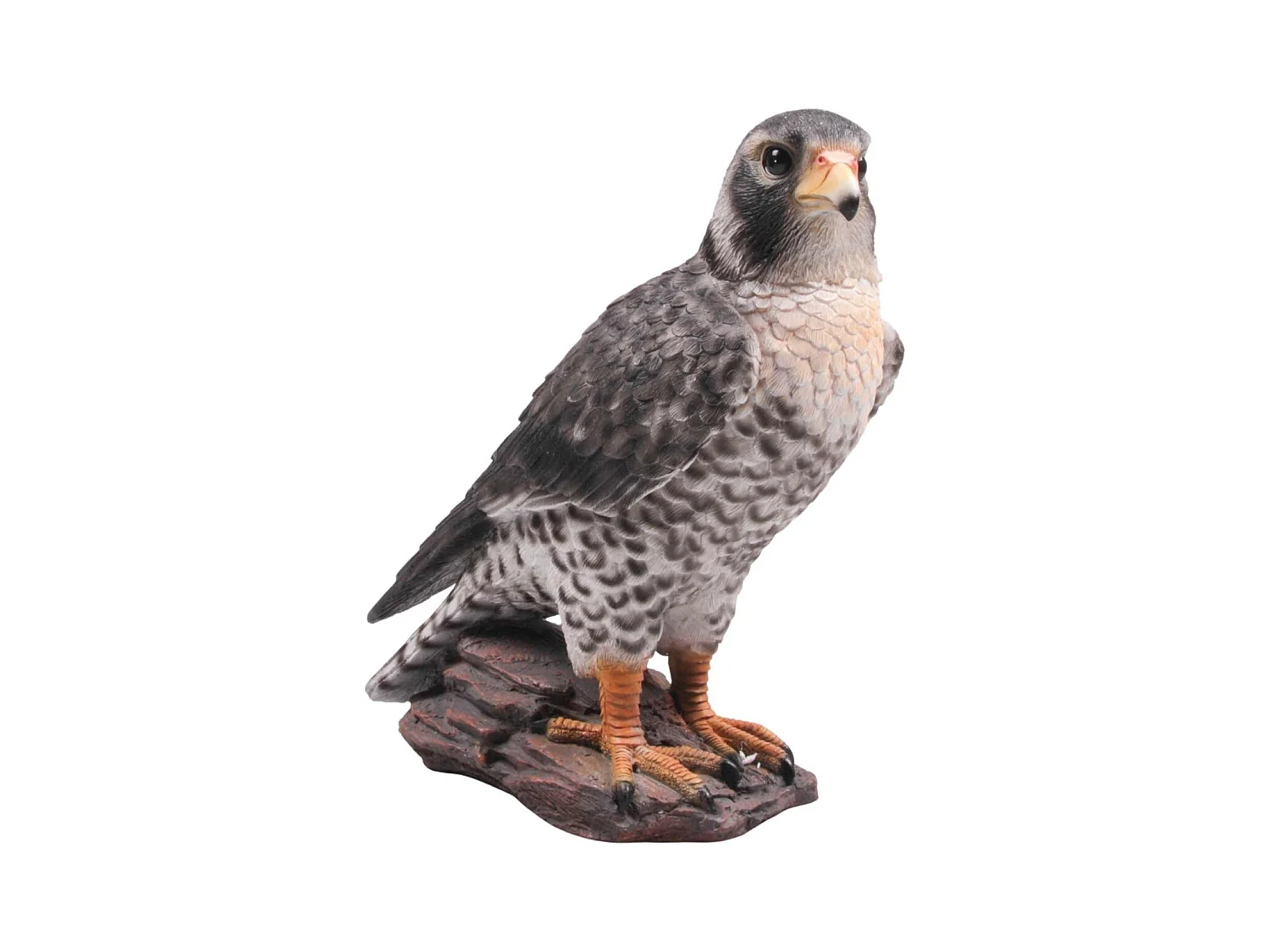 Faucon sur branche en résine Gris