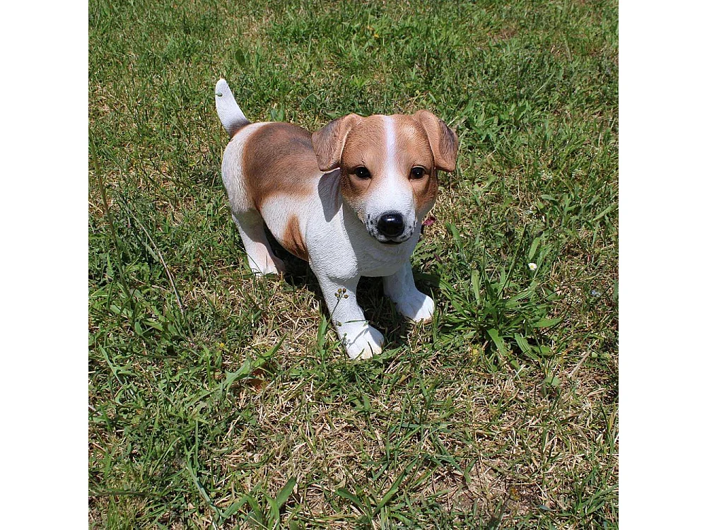 Jack Russel Hund aus Kunstharz 39 x 18 x 26 cm