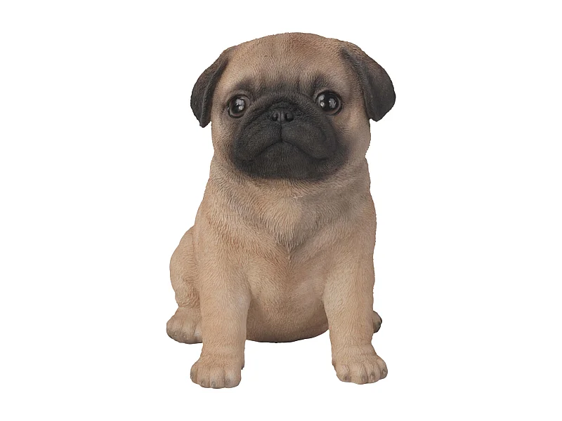 Chiot carlin en résine 16 cm