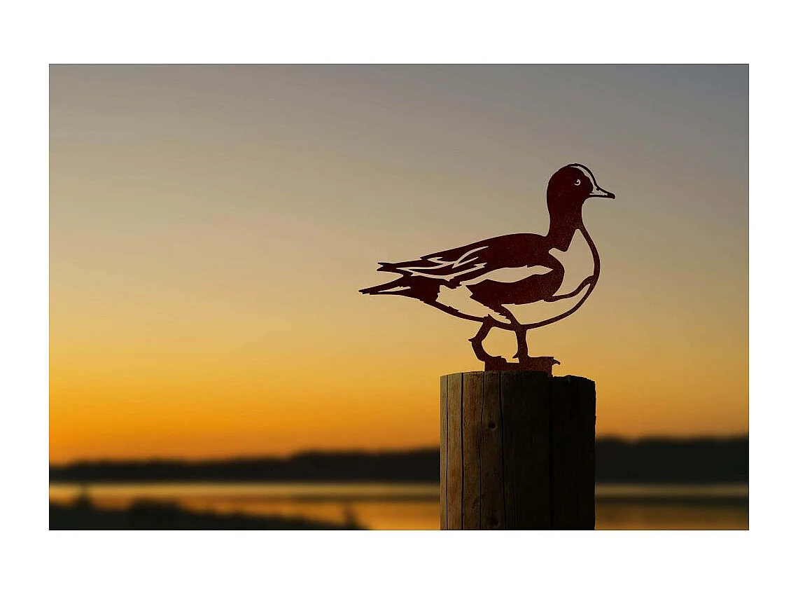 Animal décorarif canard siffleur en acier corten