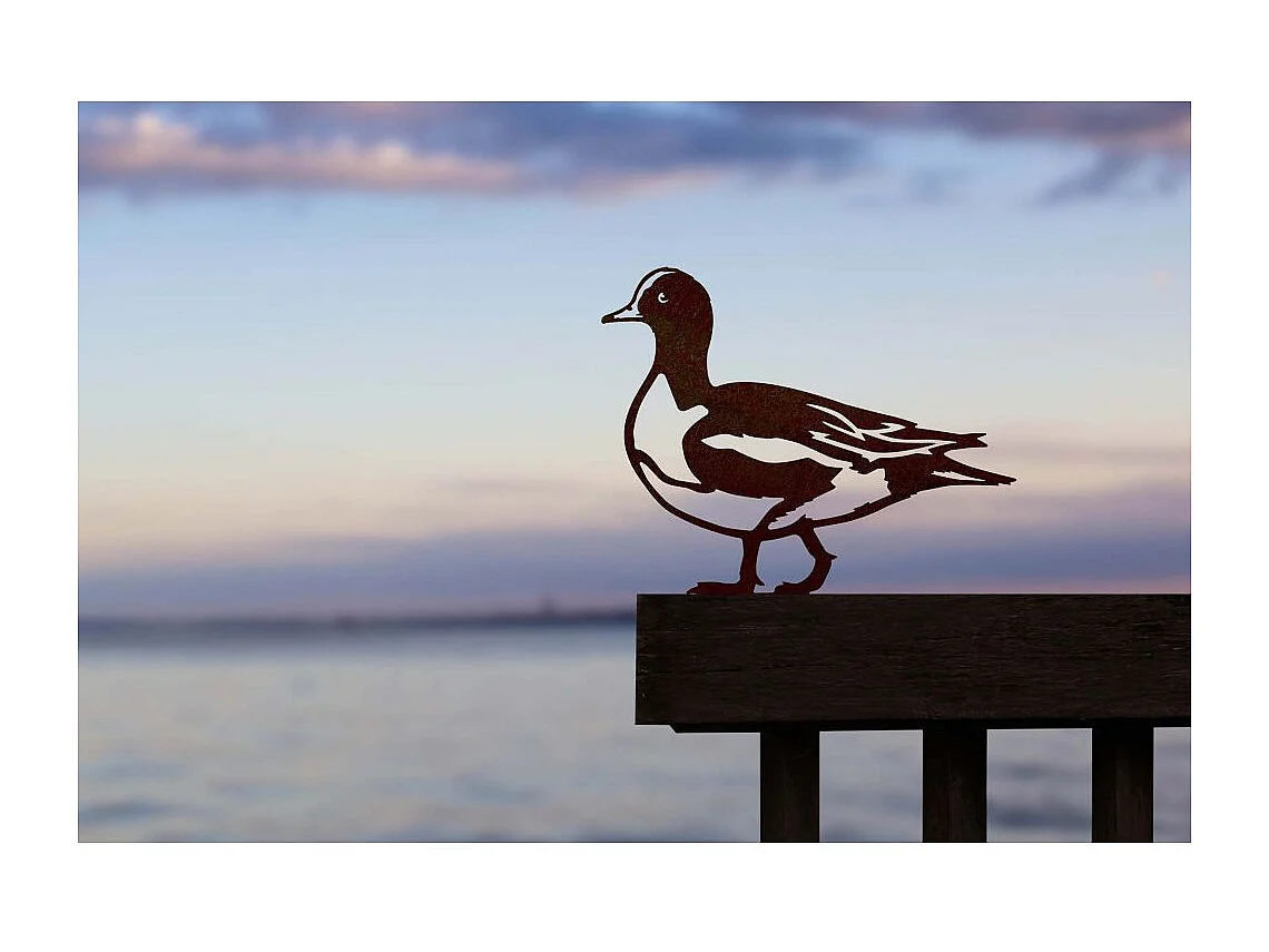 Animal décorarif canard siffleur en acier corten