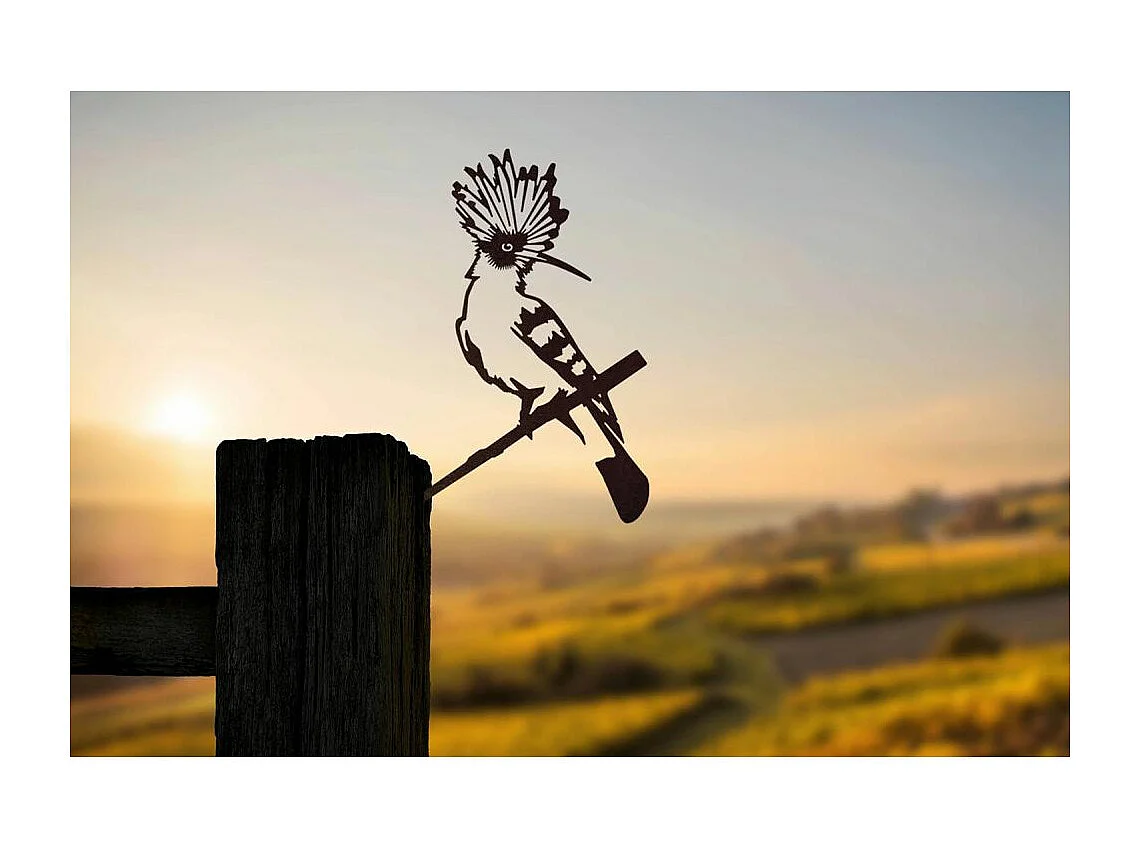 Pájaro abubilla euroasiático en espiga de acero corten