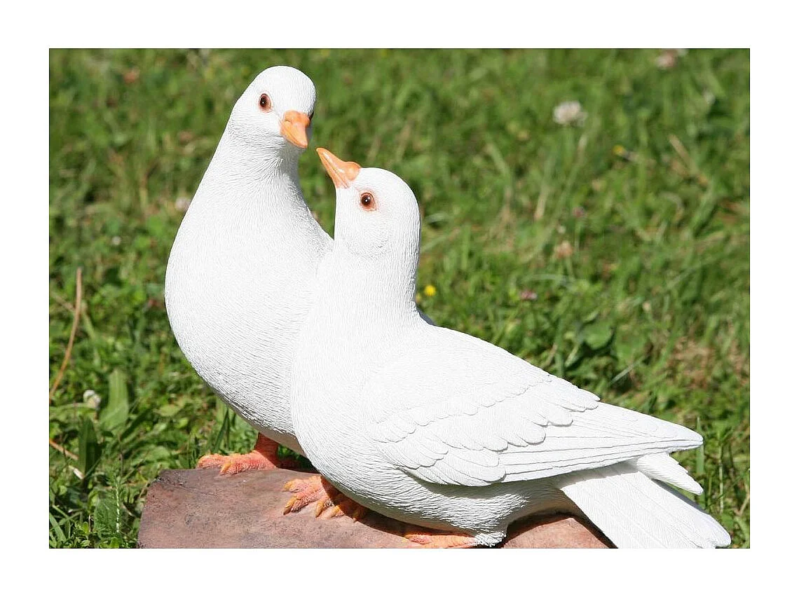 Couple de colombe sur branche en résine