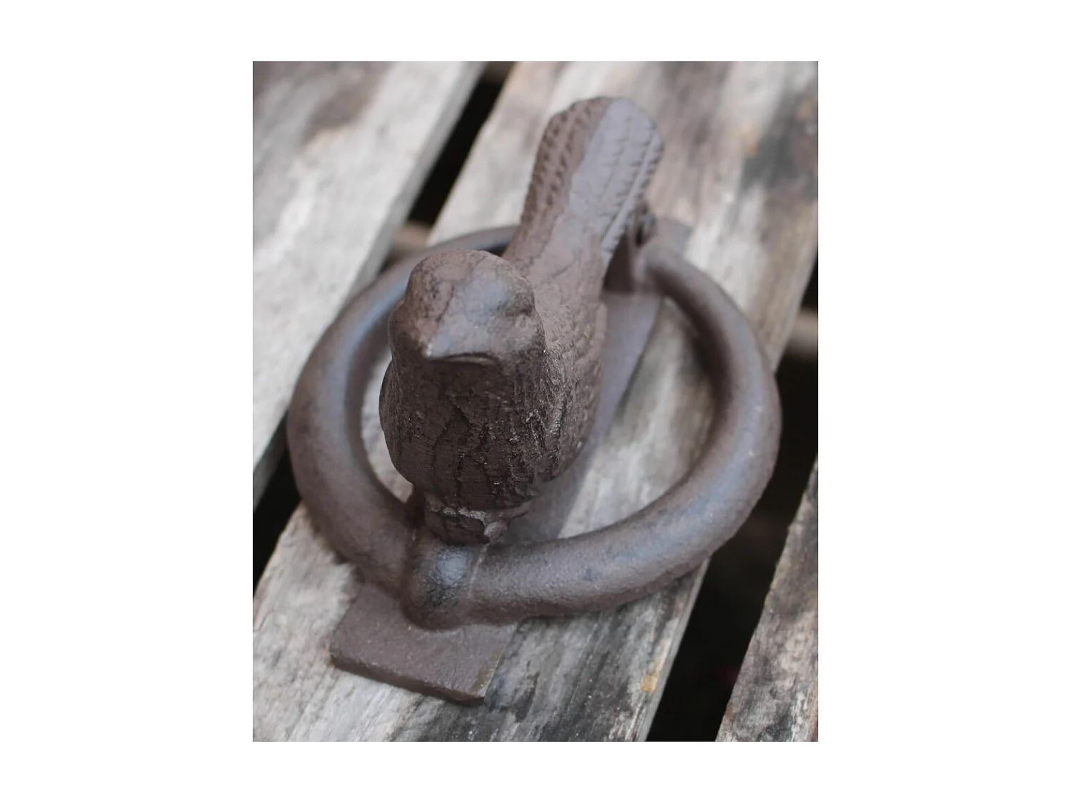 Aldaba de hierro fundido con forma de pájaro