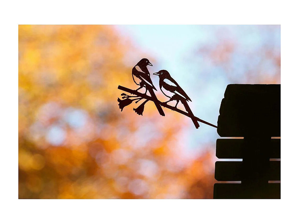 Oiseau sur pique pie eurasienne en acier corten