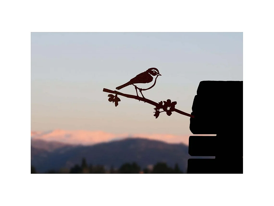 Oiseau sur pique pouillot des canaris en acier corten