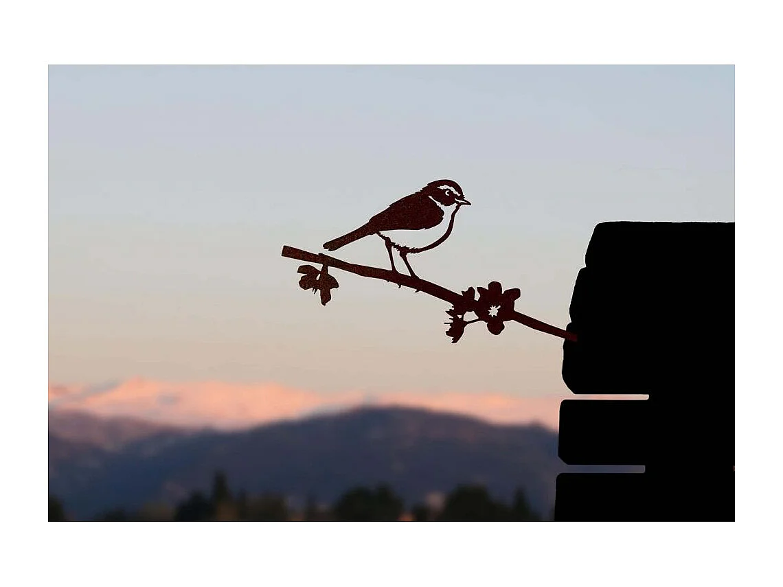 Oiseau sur pique pouillot des canaris en acier corten