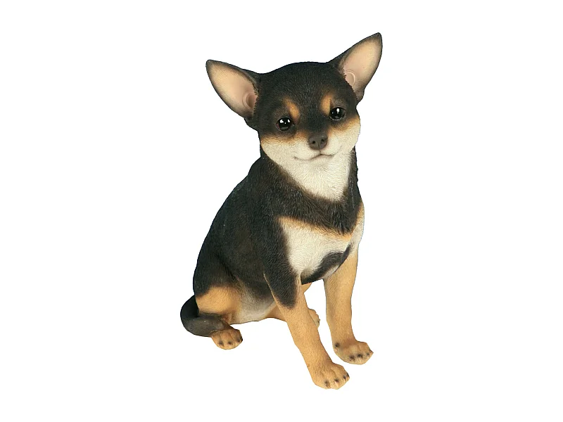 Chihuahua assis en résine 24 cm