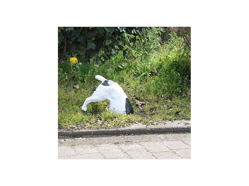 Chien fouillant en résine 30 x 15 x 25 cm