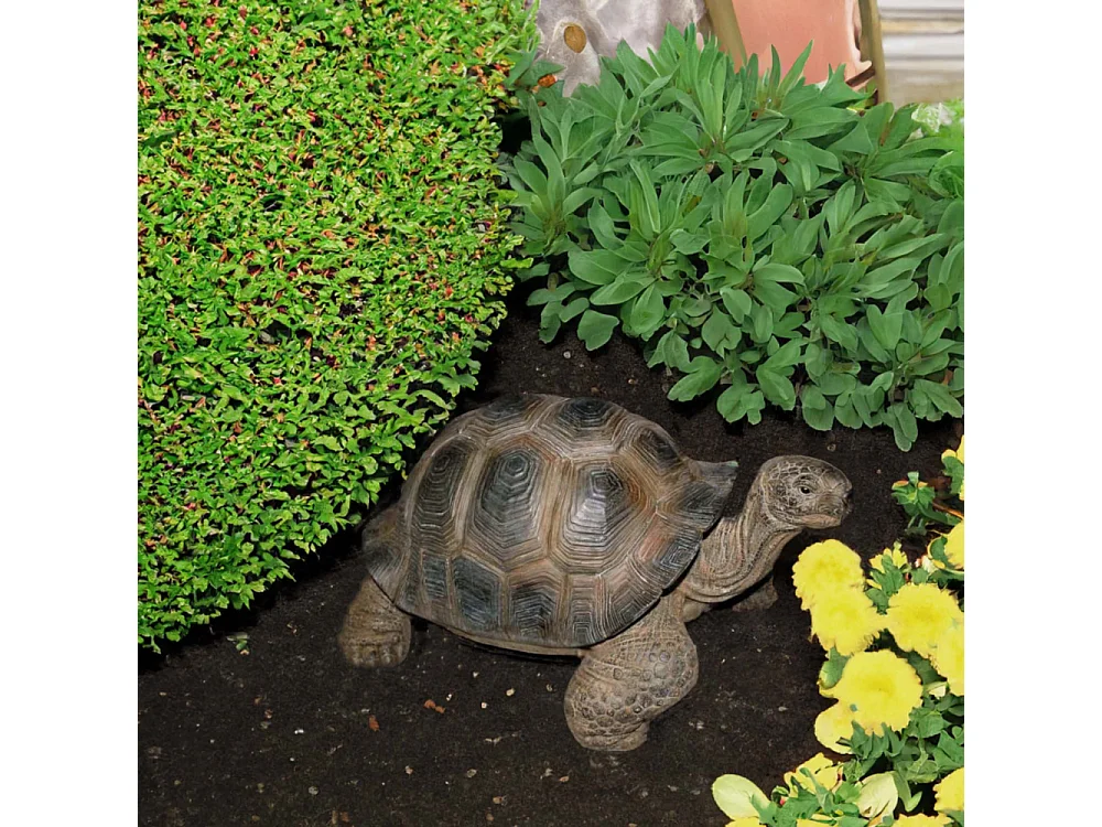 Tortue géante des Seychelles en résine 30 cm