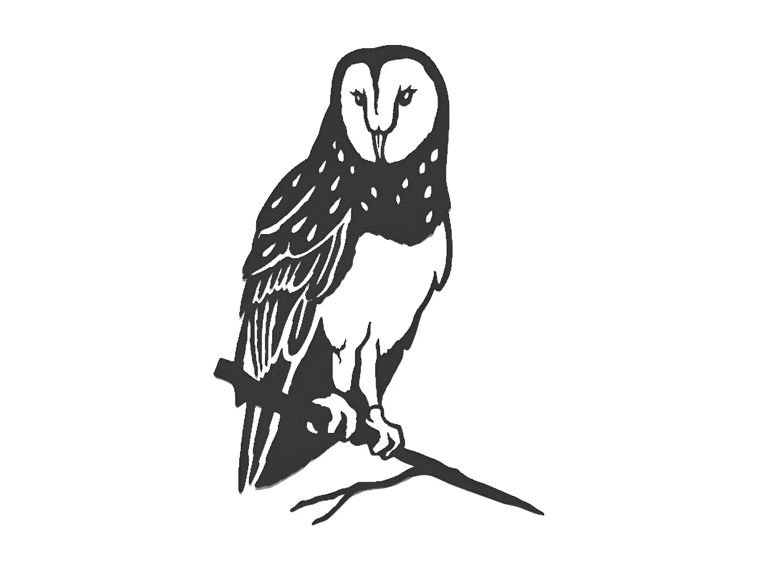 Oiseau sur pique chouette effraie en acier corten