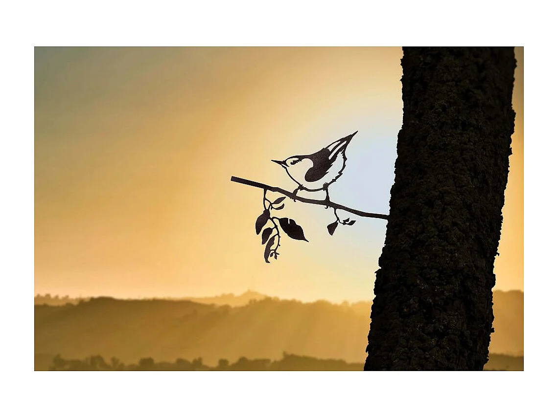 Oiseau sur pique sittelle en acier corten