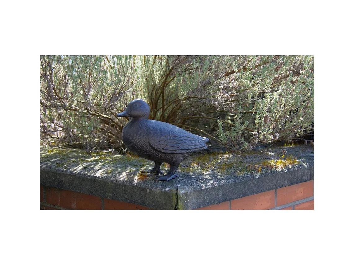Canard en fonte 24 cm