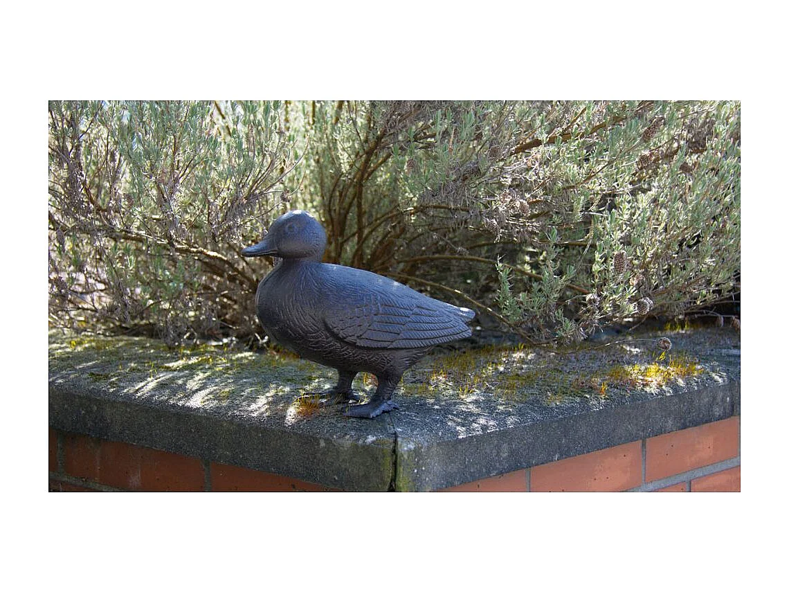 Canard en fonte 24 cm