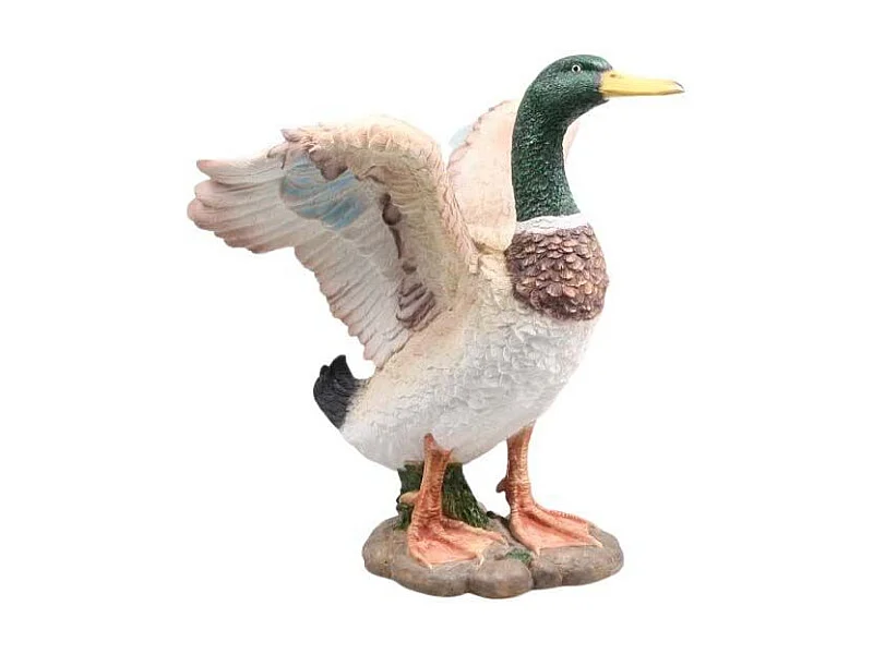 Canard colvert en résine Ailes ouvertes