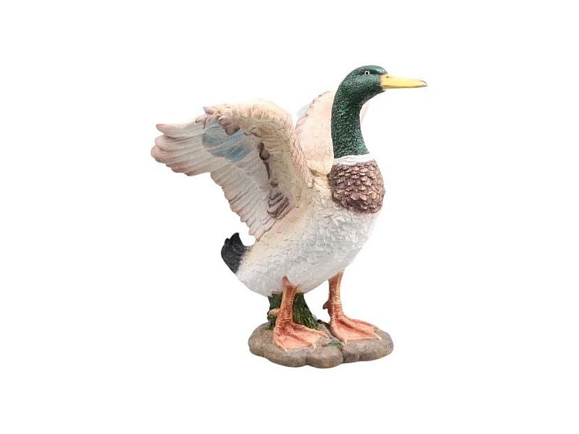 Canard colvert en résine Ailes ouvertes
