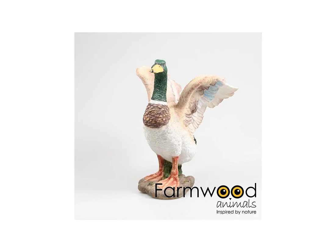 Canard colvert en résine Ailes ouvertes