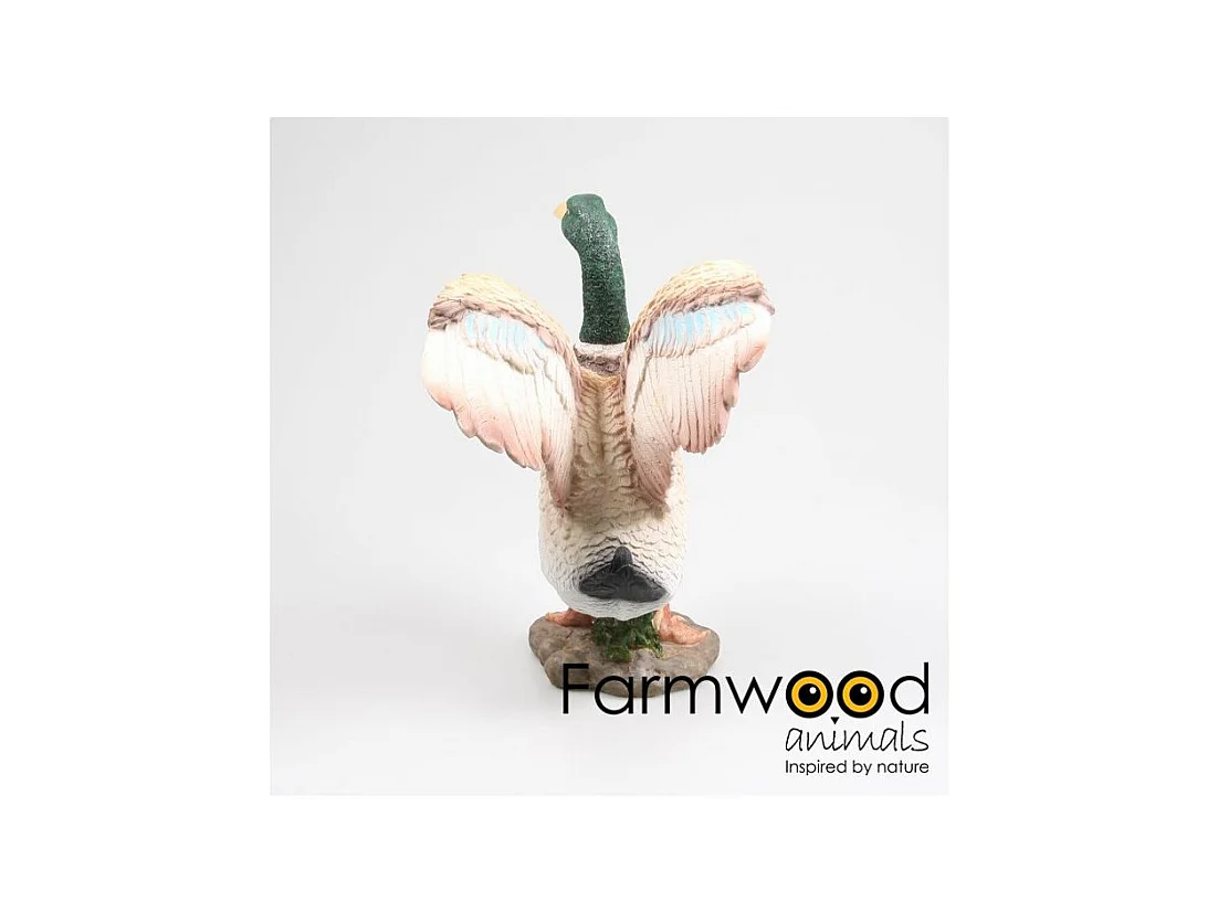 Canard colvert en résine Ailes ouvertes