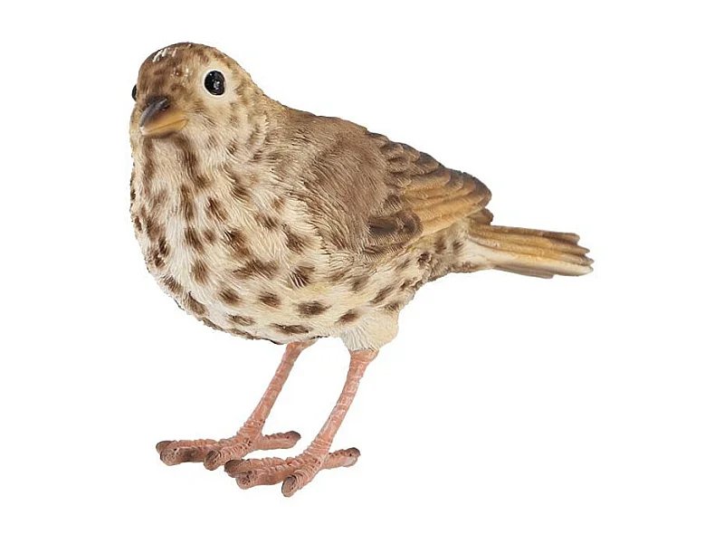 Oiseau décoratif extérieur en polyrésine Grive musicienne