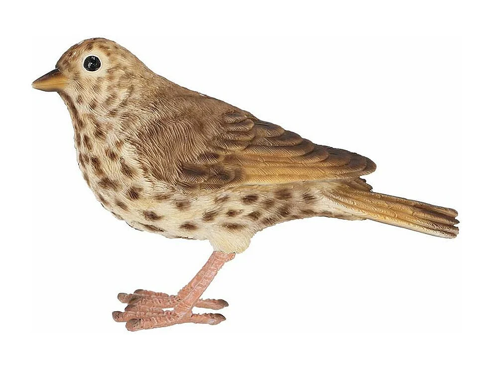 Oiseau décoratif extérieur en polyrésine Grive musicienne