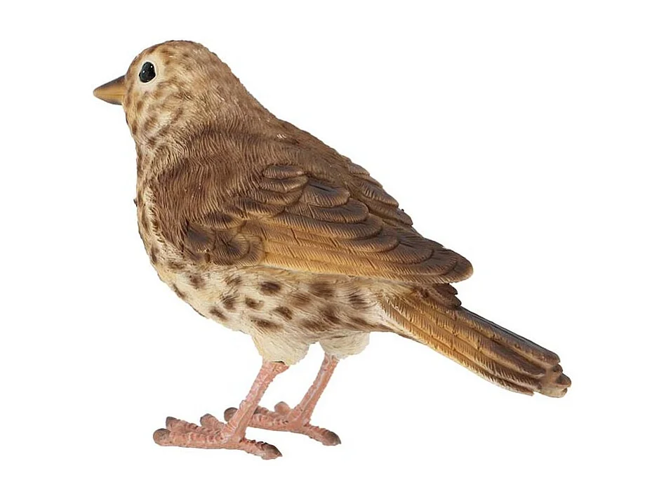 Oiseau décoratif extérieur en polyrésine Grive musicienne