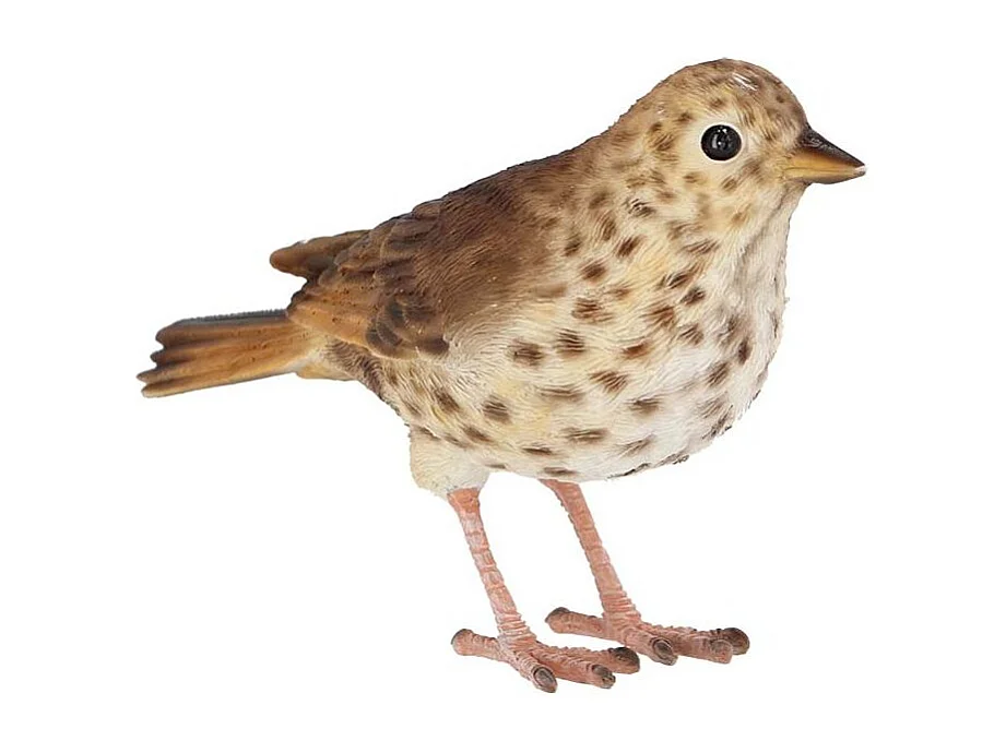 Oiseau décoratif extérieur en polyrésine Grive musicienne