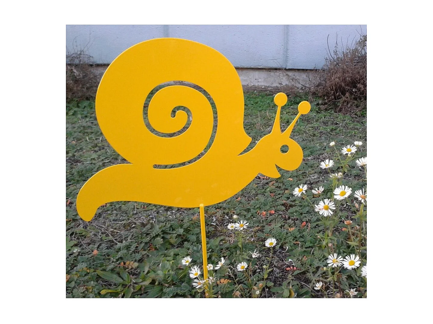 Lumaca d'acciaio incollata a uno spuntone