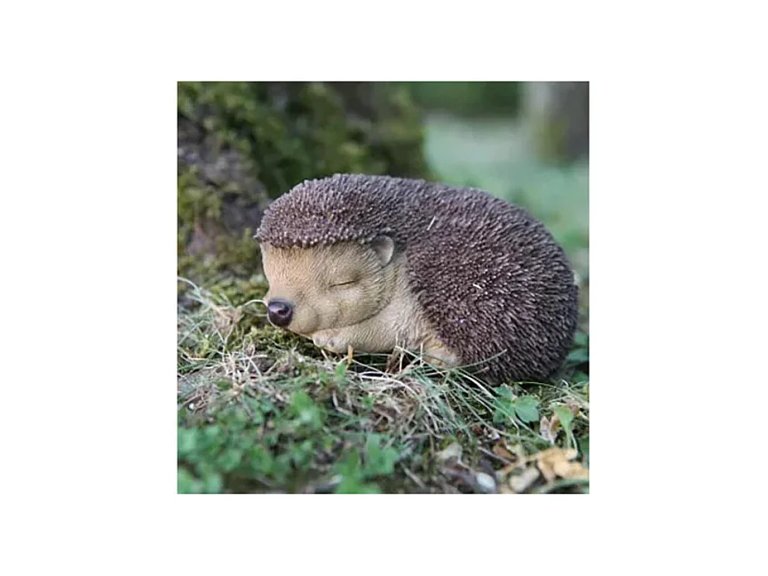 Bébé hérisson dormant en résine 13.2 cm