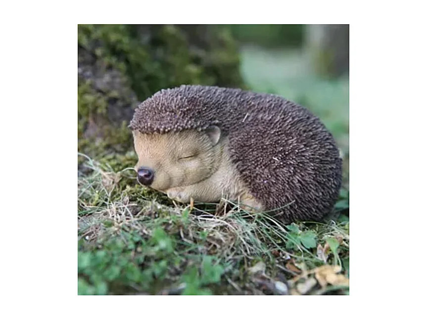 Bébé hérisson dormant en résine 13.2 cm