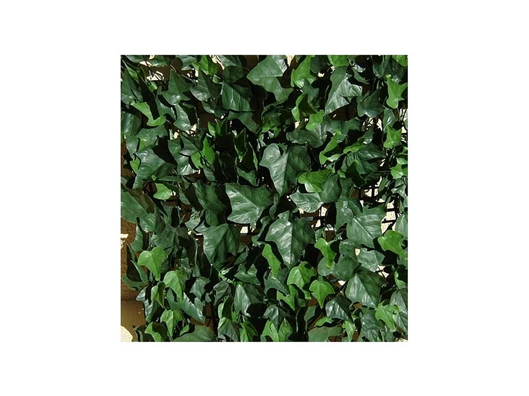 Plaques clipsables de feuillage artificiel 3m² (Lot de 12) Lierre