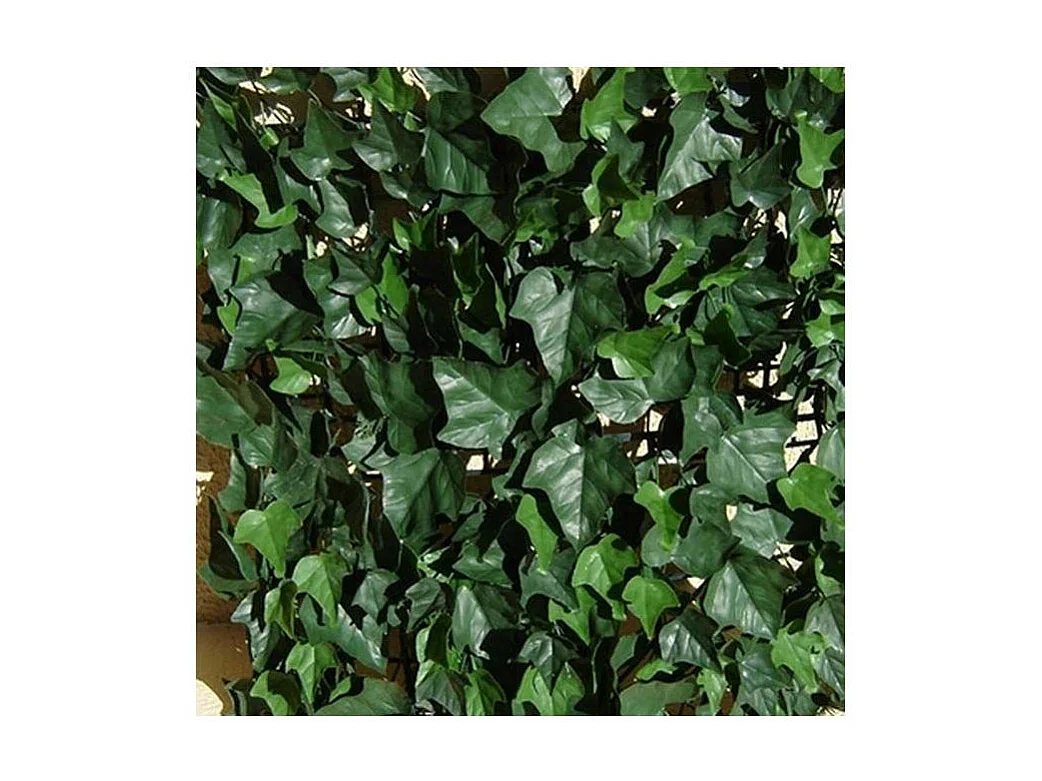 Plaques clipsables de feuillage artificiel 3m² (Lot de 12) Lierre