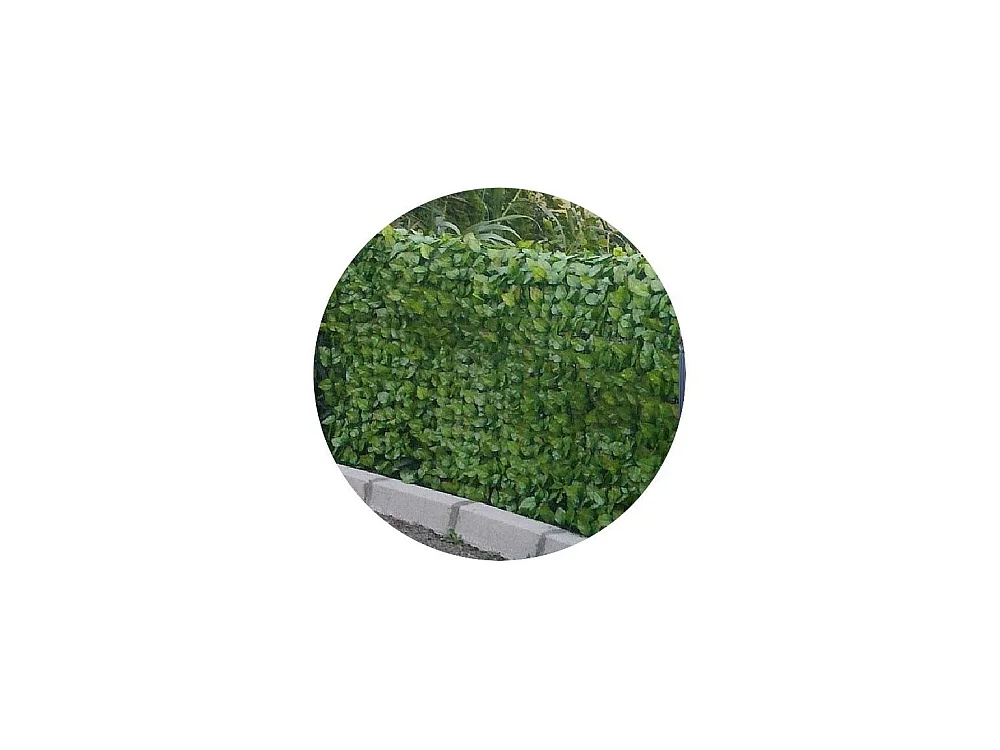 Haie artificielle feuilles de rosier en rouleau 1.5 x 3 m