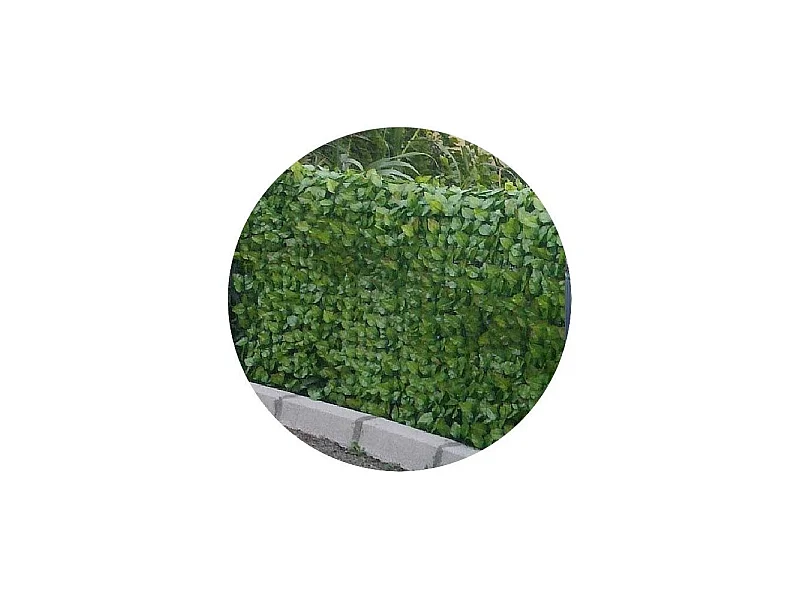 Hojas de rosa de seto artificial en rollo 1,5 x 3 m