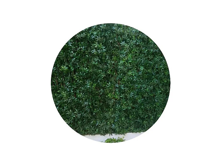 Treillis en bois de saule et feuilles de vigne vierge artificielles (1 x 2 m)