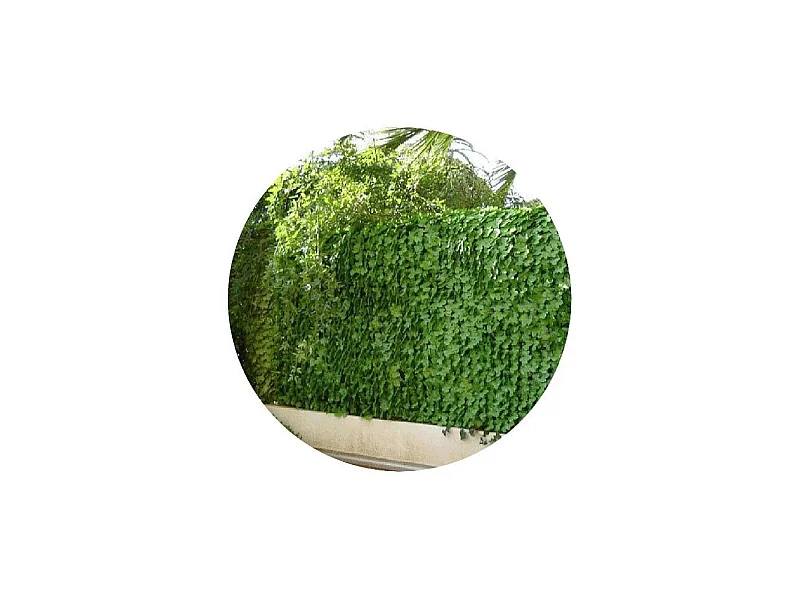 Haie artificielle jeunes feuilles de lierre en rouleau 1.5 x 3 m