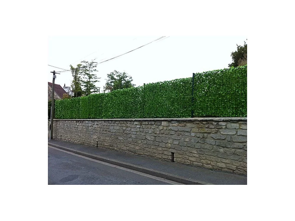 Haie artificielle jeunes feuilles de lierre en rouleau 1.5 x 3 m
