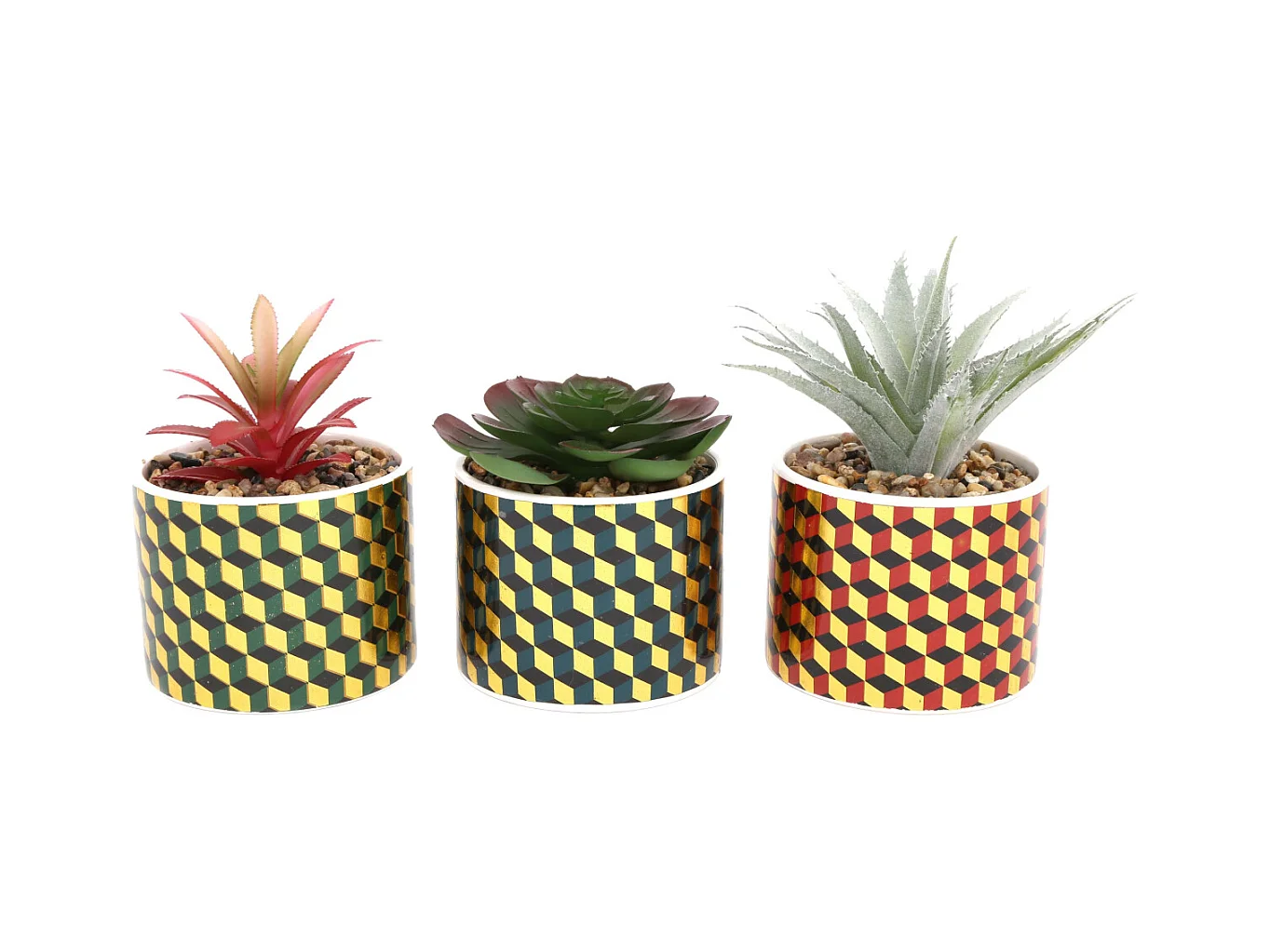 Plantes succulentes artificielles Cubic (Lot de 3)