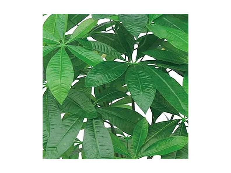 Plante Artificielle Pachira H155cm Vert, Marron, Noir