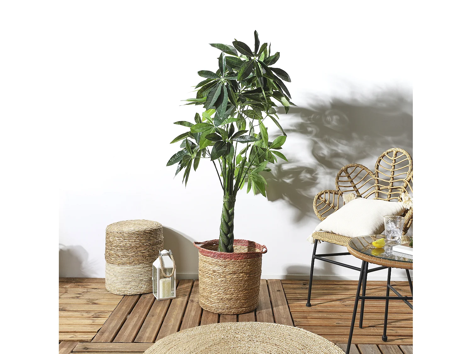 Plante Artificielle Pachira H155cm Vert, Marron, Noir