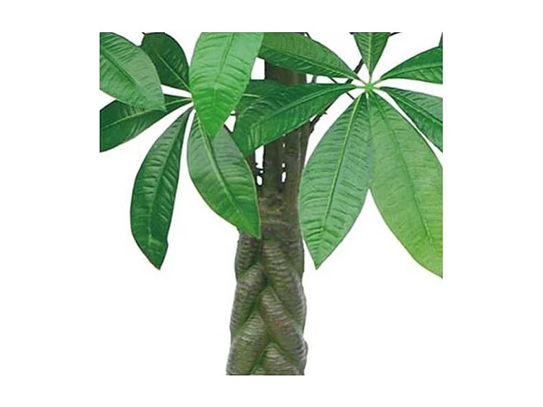 Plante Artificielle Pachira H155cm Vert, Marron, Noir