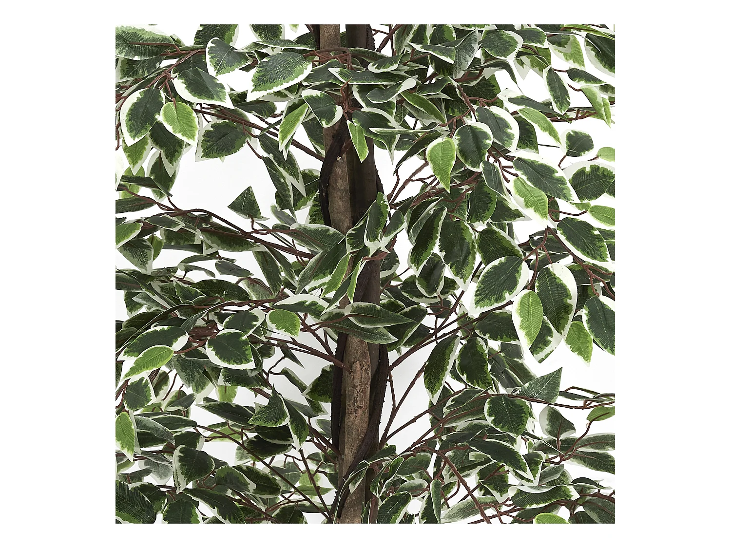 Plante Artificielle Feuillage Panache 160cm Vert