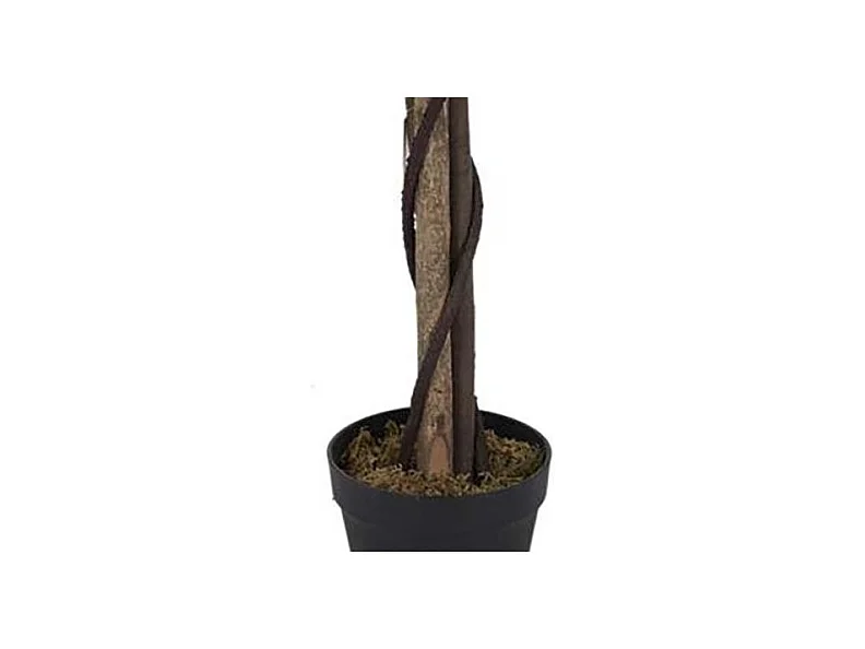 Plante Artificielle Feuillage Panache 160cm Vert