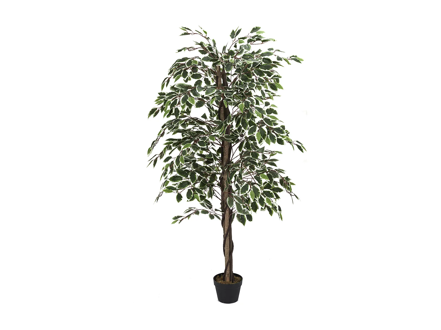 Plante Artificielle Feuillage Panache 160cm Vert