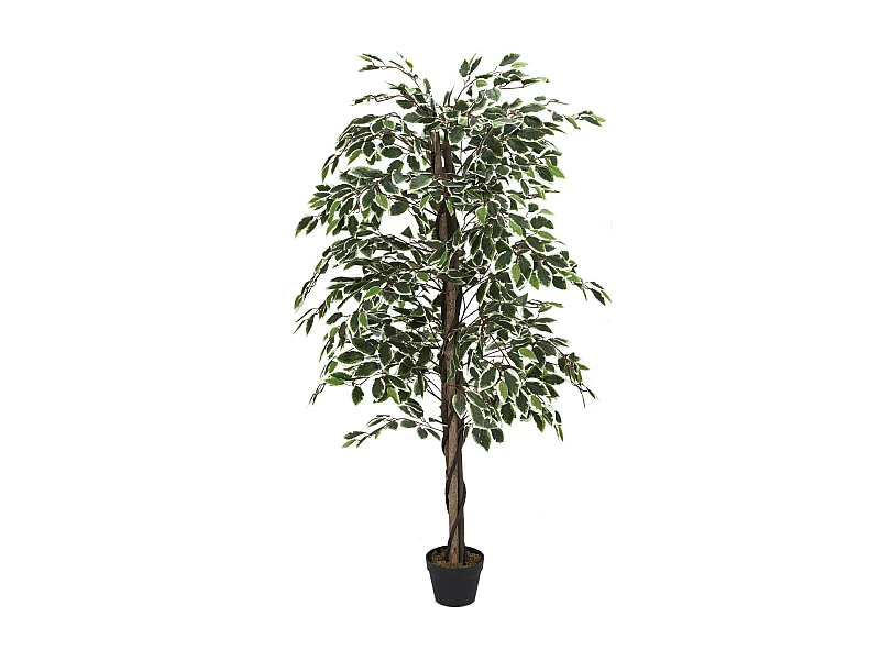Plante Artificielle Feuillage Panache 160cm Vert