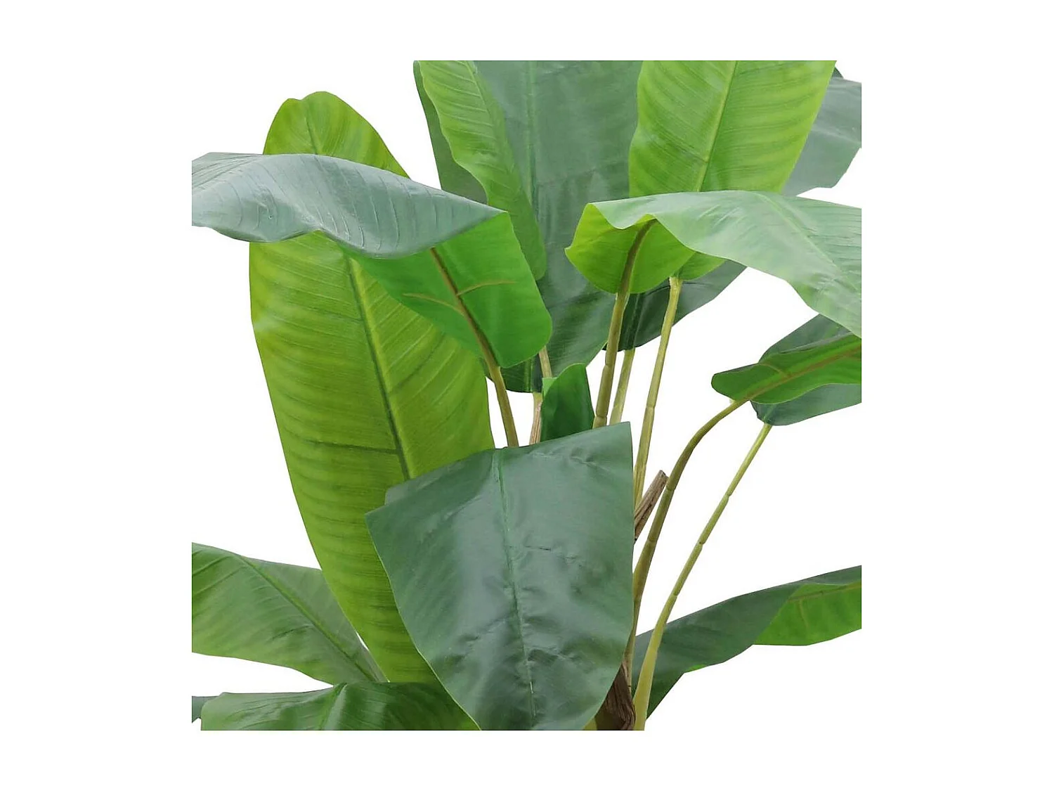 Bananier artificiel 2 troncs hauteur 185 cm