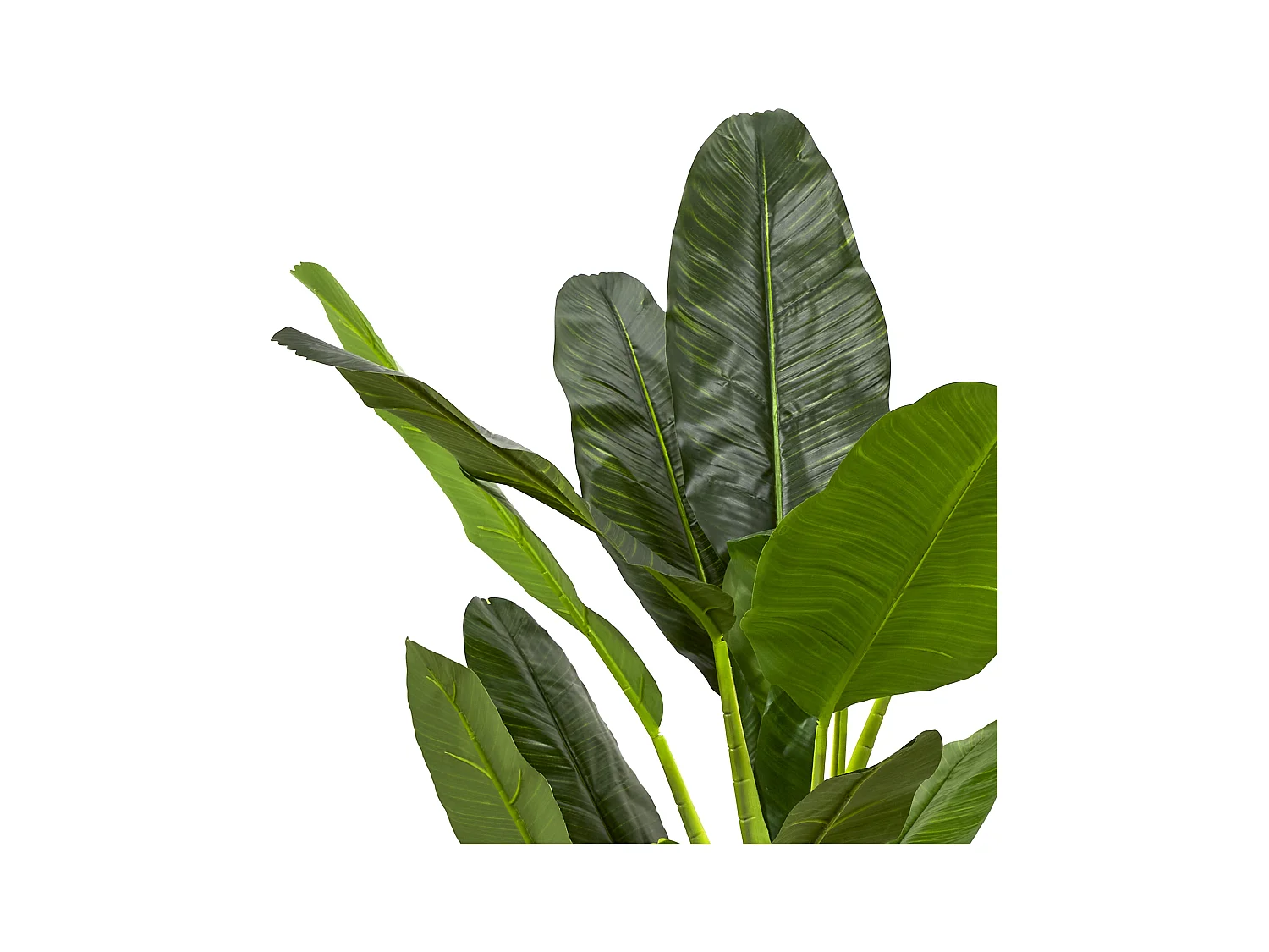 Bananier Artificiel Xxl Vert, Marron