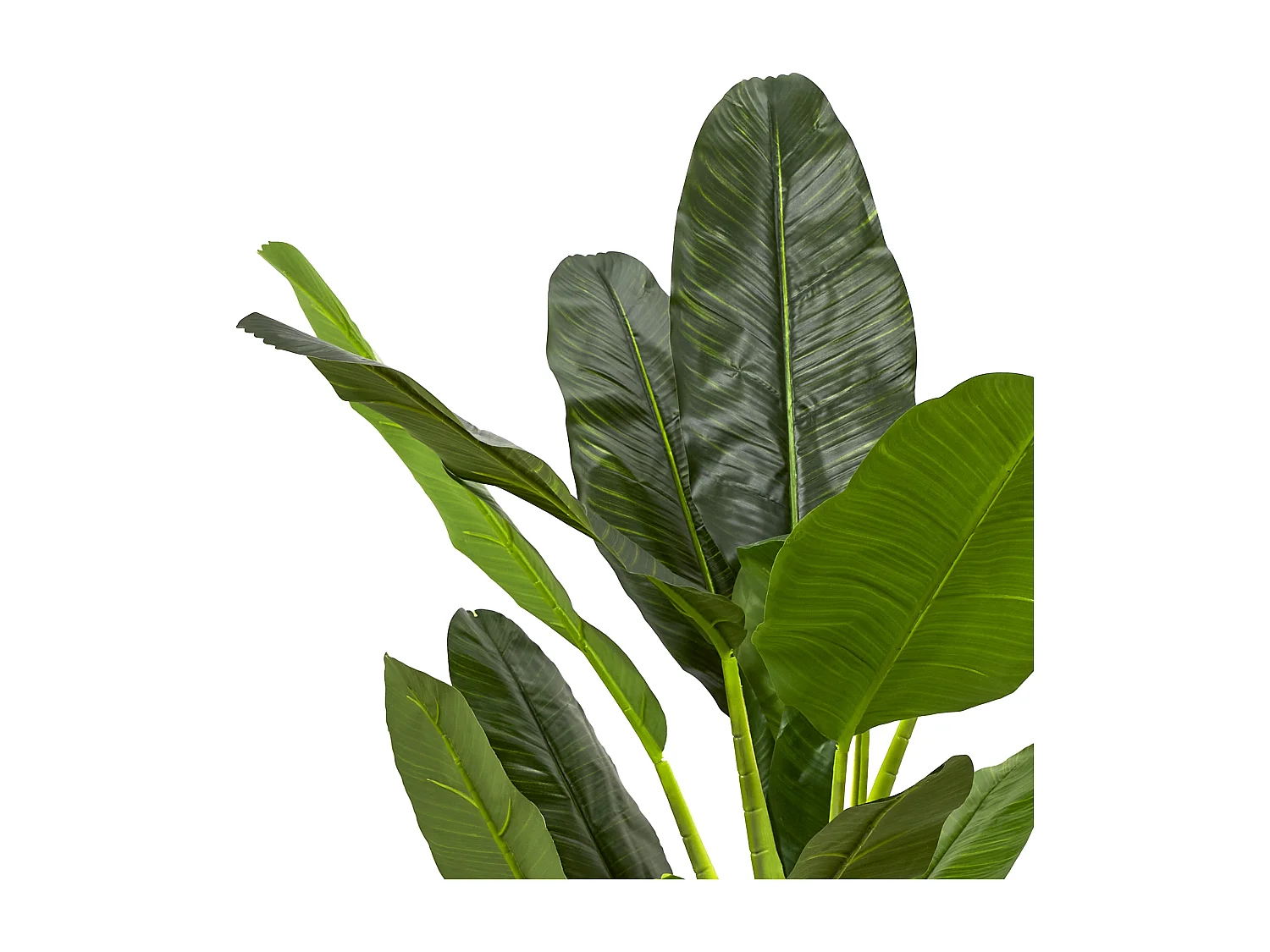 Bananier Artificiel Xxl Vert, Marron