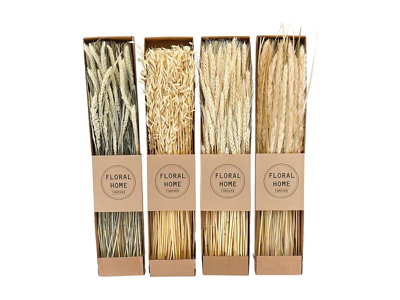 Fleurs séchées naturelles 60 cm Floral (Lot de 4)